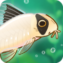 池趣养鱼游戏
