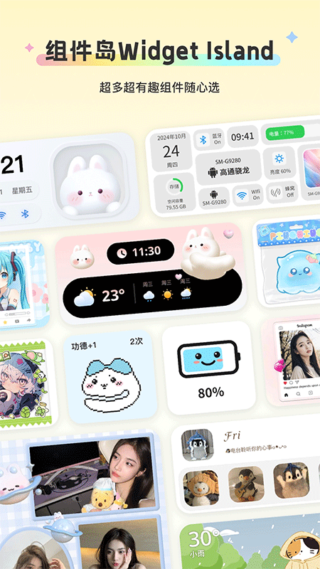 组件岛Widget Island官方正版截图