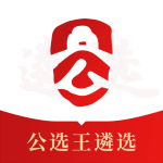 公选王遴选网app