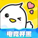 不鸽电竞app