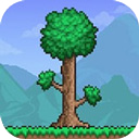 泰拉瑞亚全物品存档版