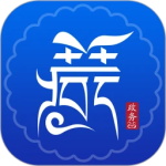 西藏政务app