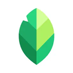 Snapseed手机修图软件免费版