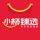 小杨臻选