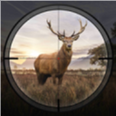 狩猎狙击手(Hunting Sniper)