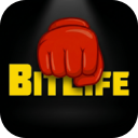 生命模拟器（BitLife）