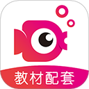 鲤鱼辅导app