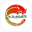 天地泰宁app