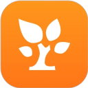 金数据app