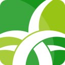 野草助手安卓版