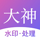 大神水印手机版