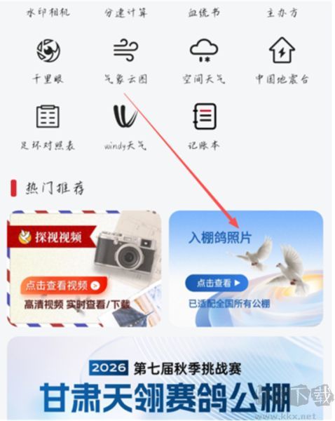 青鸽网app