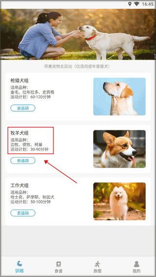 小兔乐跑官方版本截图