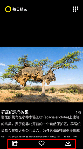 每日精选官方版截图