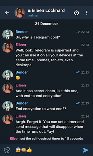 TelegramX灰色版截图