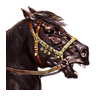 姬骑士