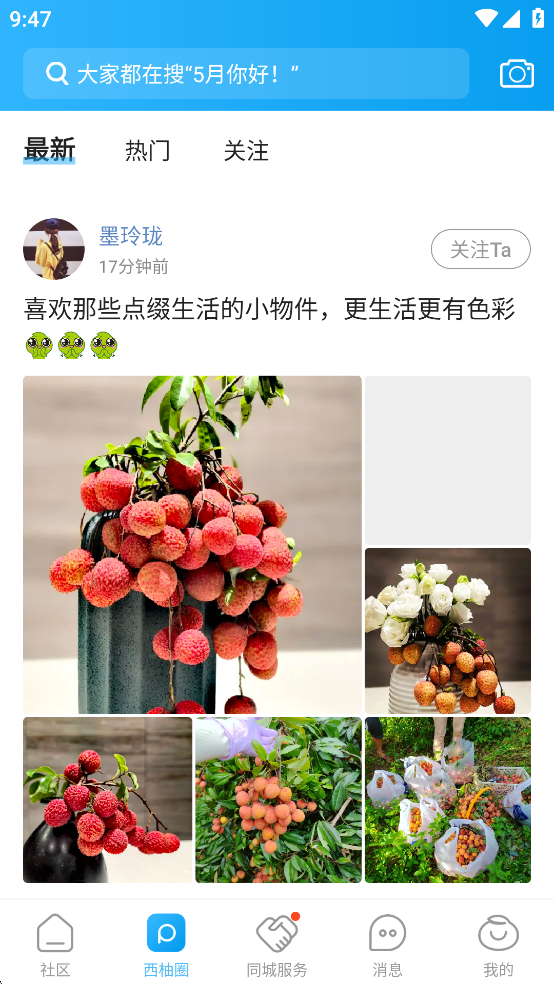 西子湖畔App截图