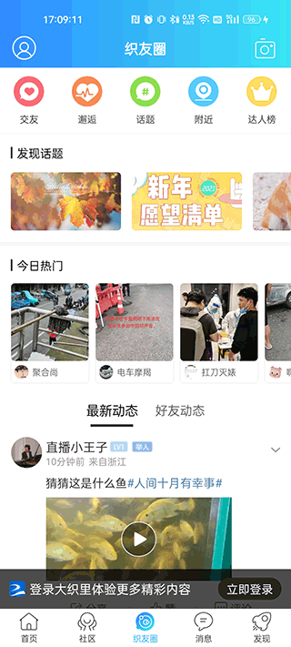 大织里截图
