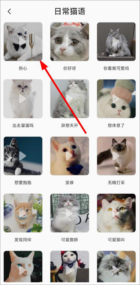 猫语翻译机截图