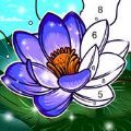 按数字填色本官网版